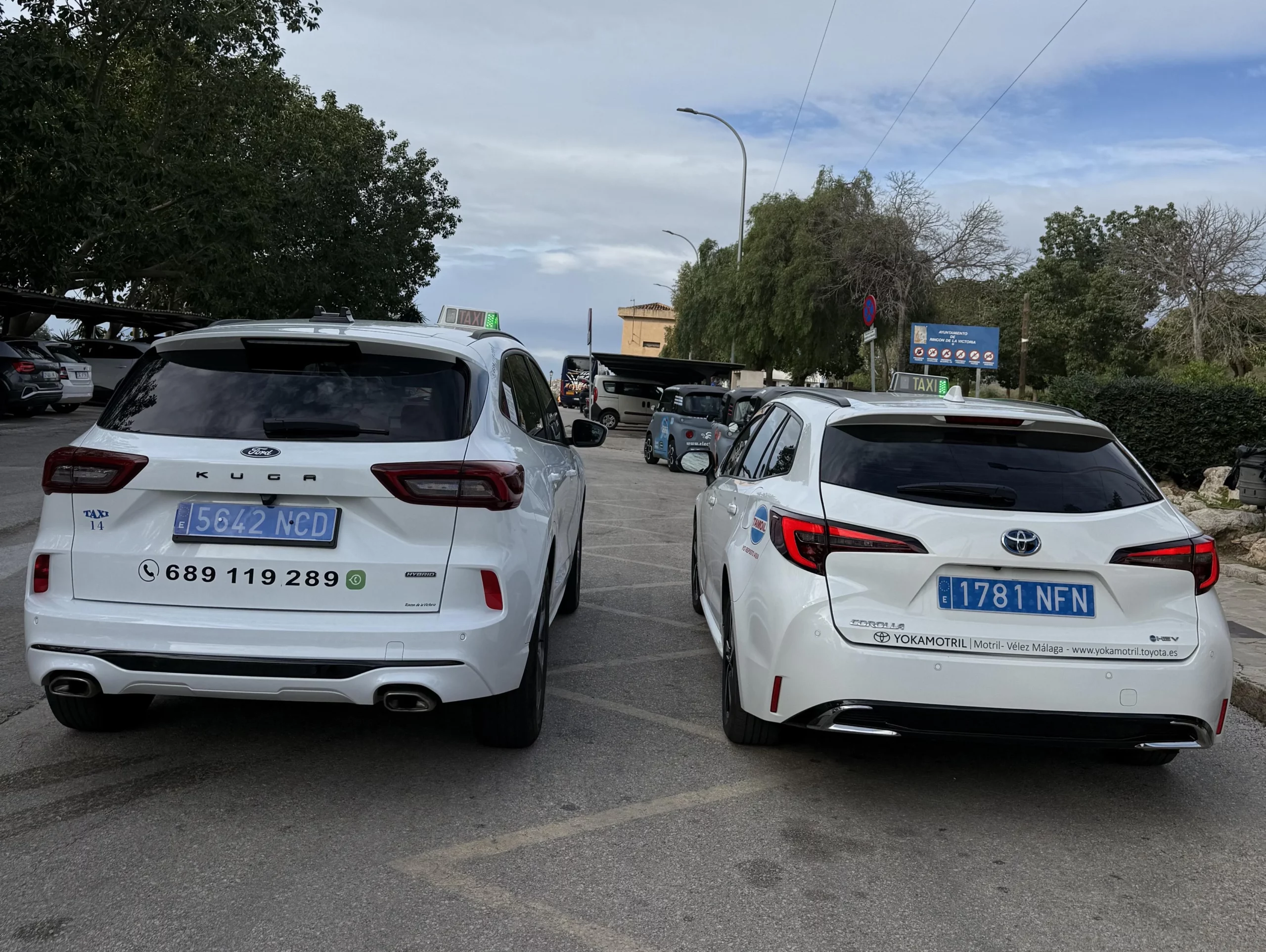 IMG_2217_L17_L14_back scaled